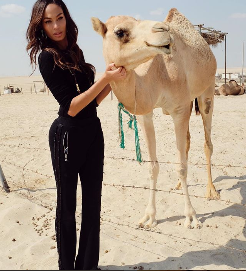 Joan Smalls in Abu Dhabi Joan Smalls in Abu Dhabi 3